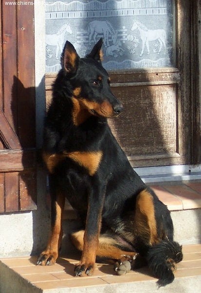 Thaïs du Murier de Sordeille