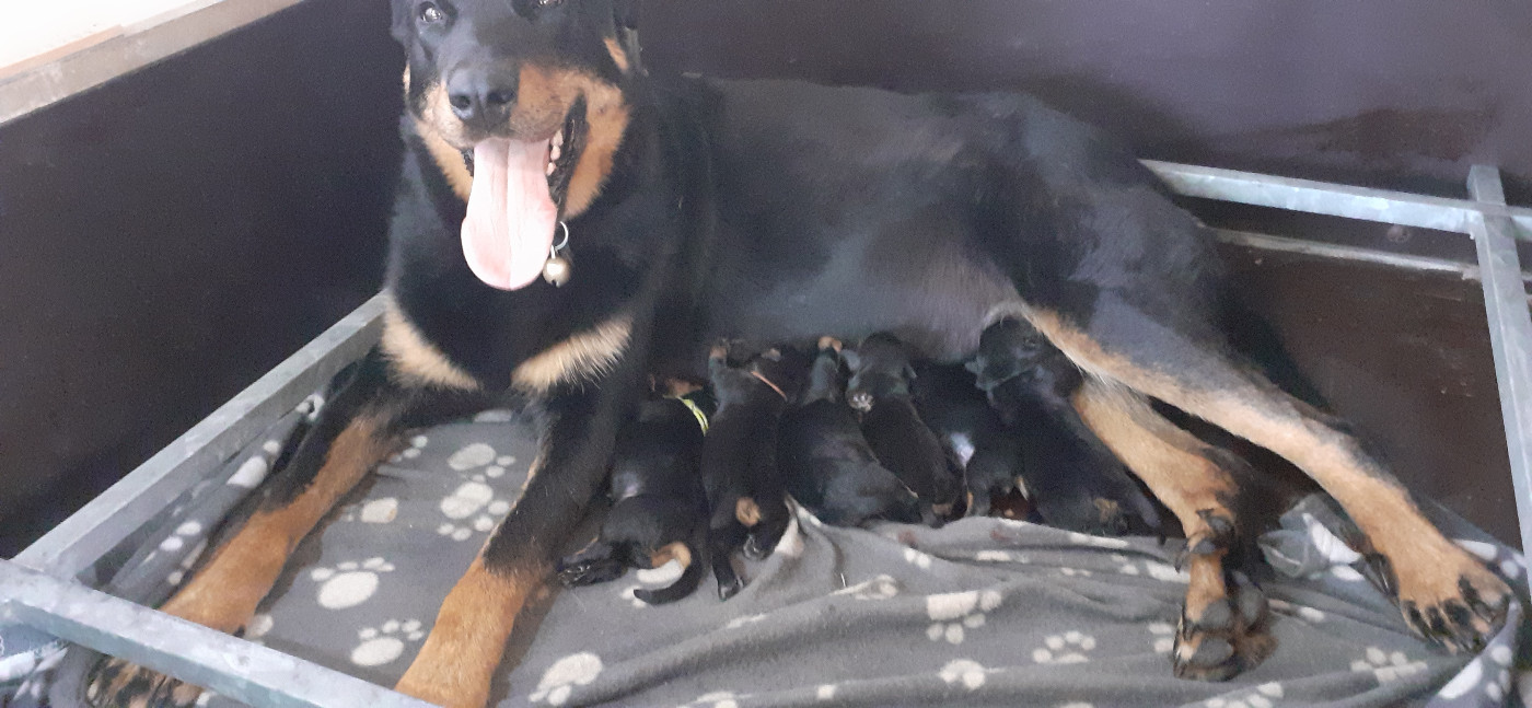 Naissance !...